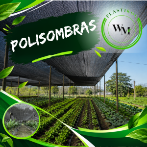 Polisombras